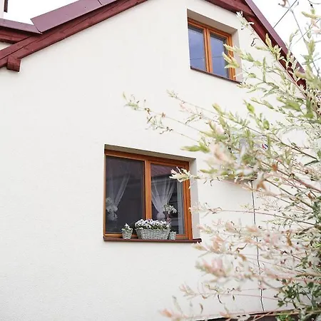 Husovka No135 * Libice nad Cidlinou